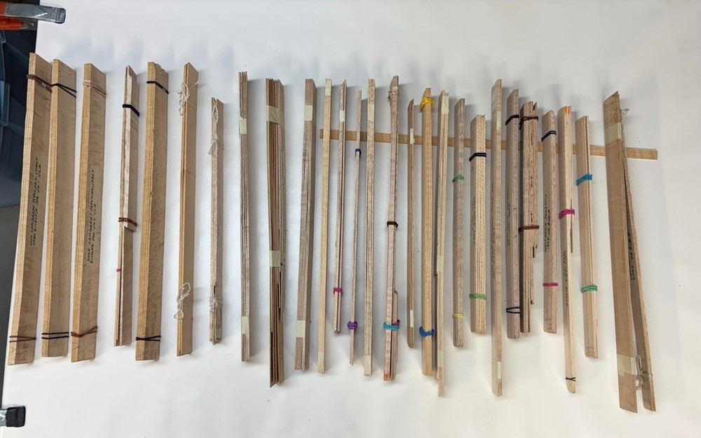 Violin And Viola Rib Sets X28