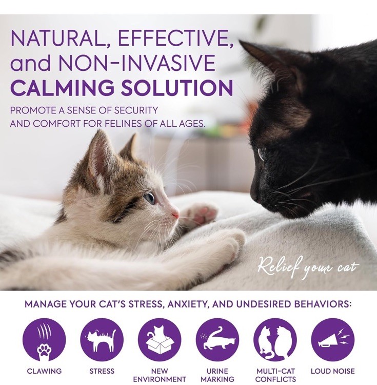 Cat Pheromones Calming Diffuser Refill 4 Pack Multicat Pheromone Diffusers Refil