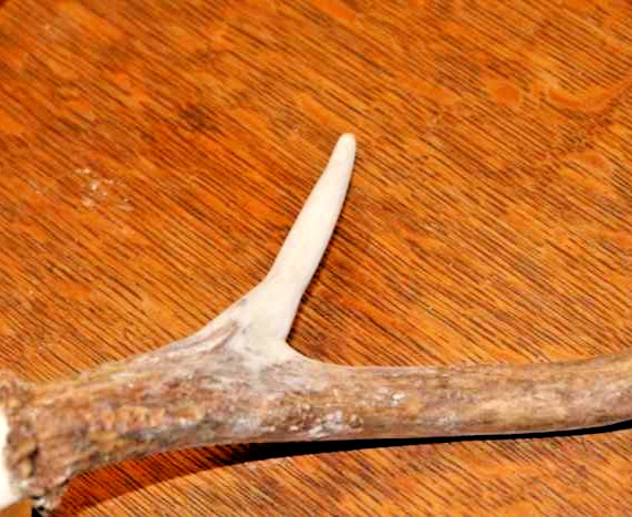Antler Art Epoxy Material All Game - CREATE RESTORE POINTS TINES SMALL 8oz Set