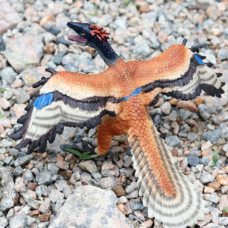 Archaeopteryx Dinosaur Model Figure Toy Jurassic Prehistoric Figurine Gift usa
