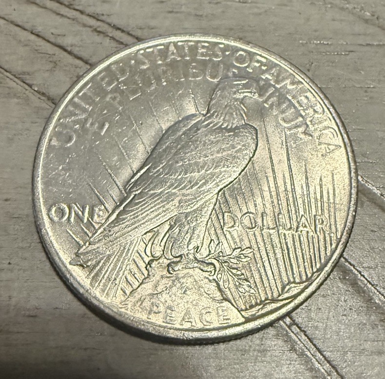 1925 P Peace Silver Dollar