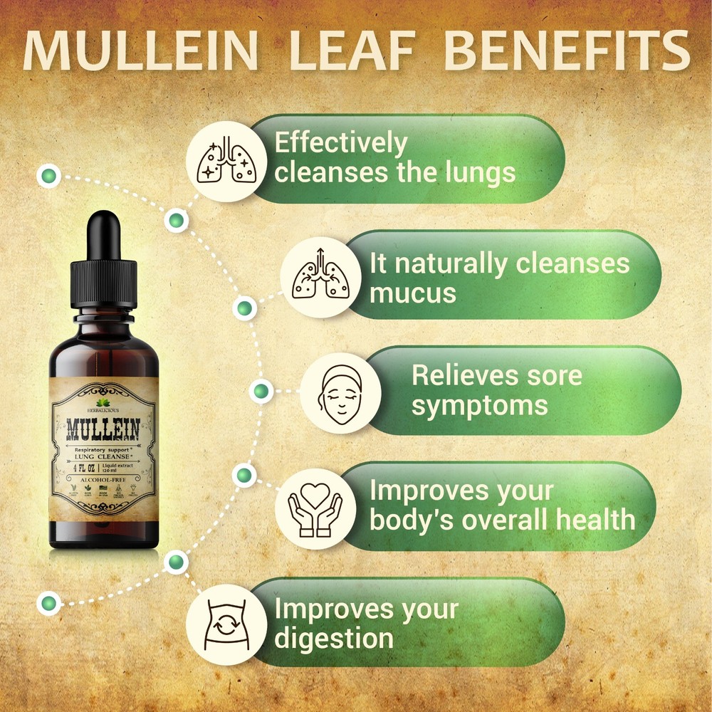 Mullein Leaf Extract 4oz - Organic Verbascum Thapsus Liquid