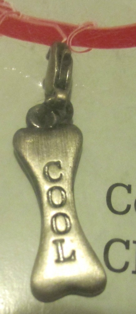 Metal Dog Collar Charm "COOL"