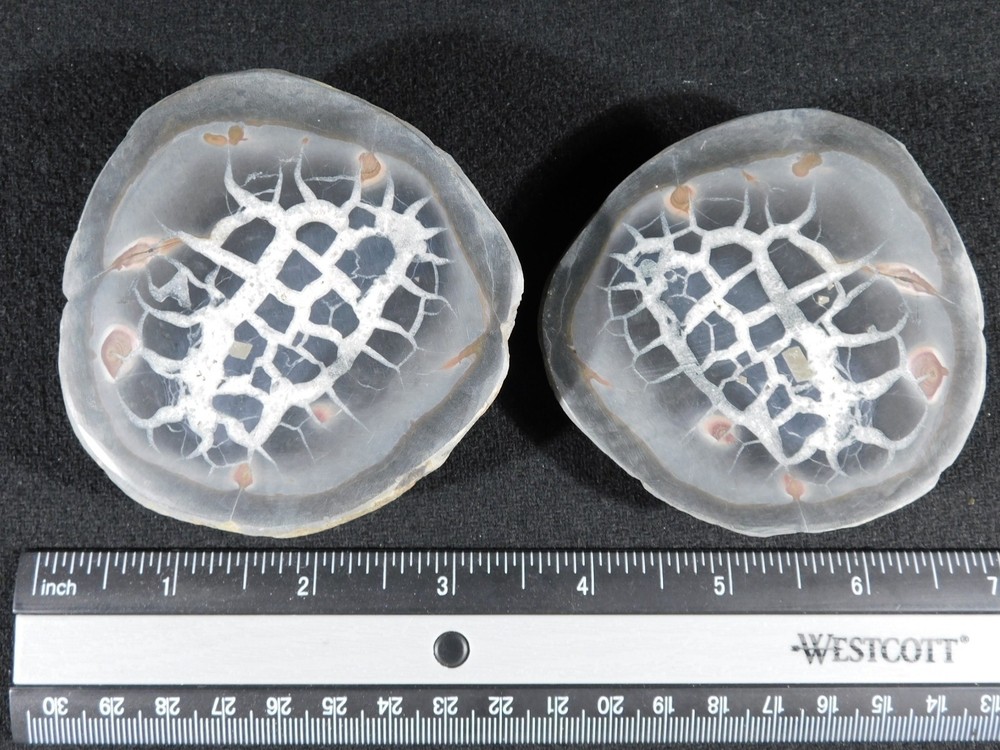 Neat! Lighting Like Pattern! Split and Polished SEPTARIAN Nodule Morocco 368gr