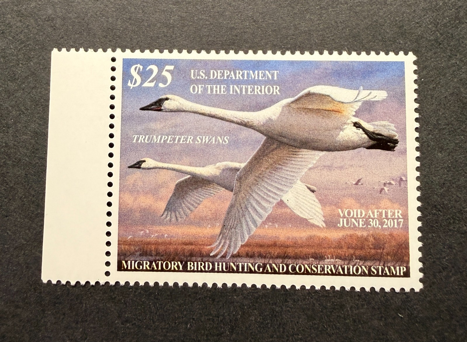 WTDstamps - #RW83 2016 - US Federal Duck Stamp - Mint OG NH
