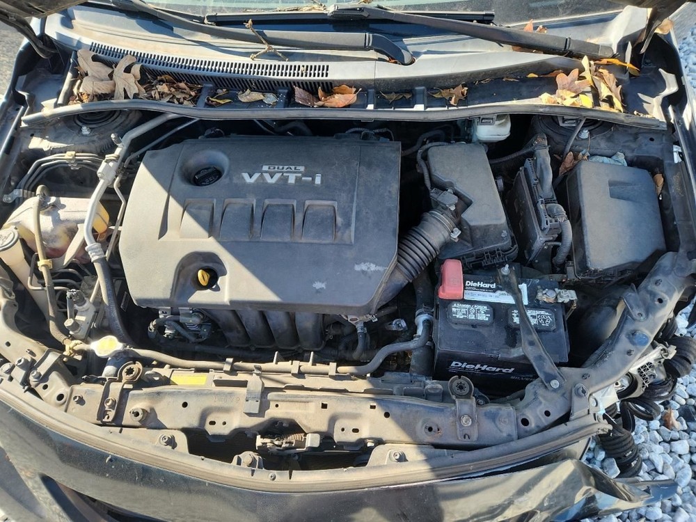 COROLLA 2010 Glove Box 4909045