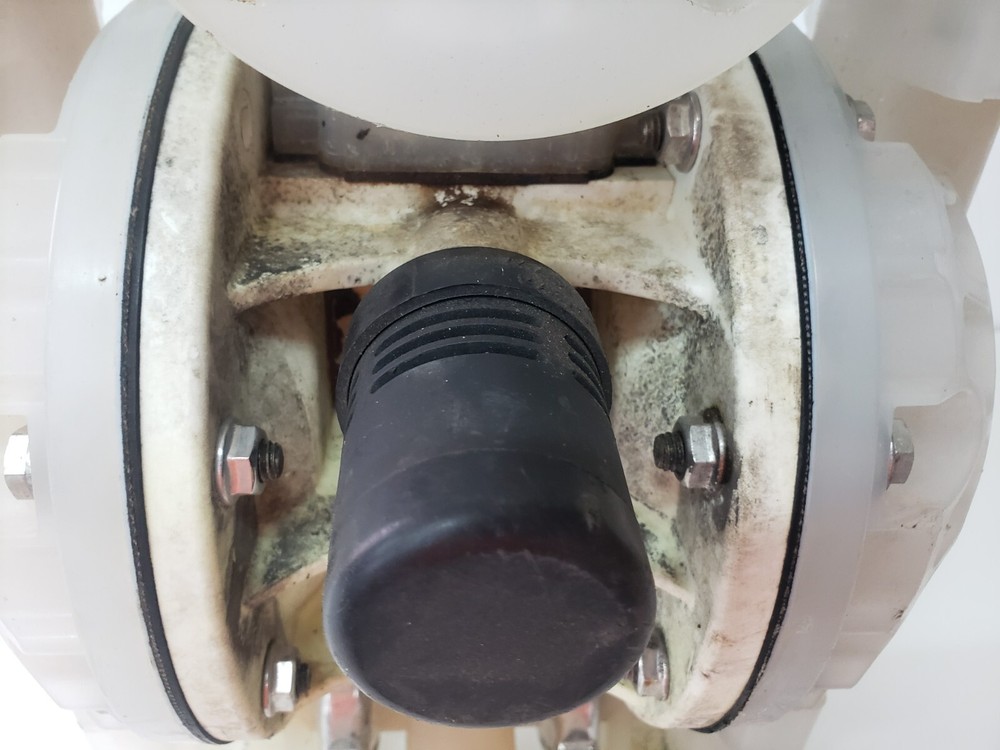 Versamatic Diaphragm Pump E1PP5F5T9C-CP Warren Rupp