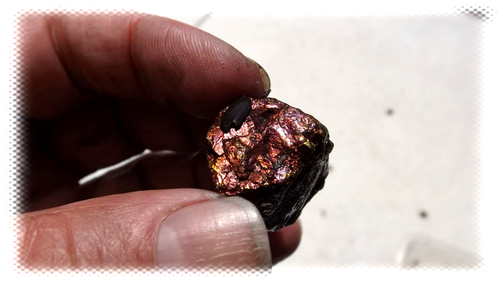 Rainbow Chalcopyrite Small Natural Rough Raw Crystals