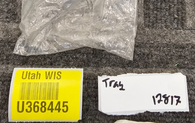 VN59062: Heavy Duty Copper and Rawhide Replacement Face