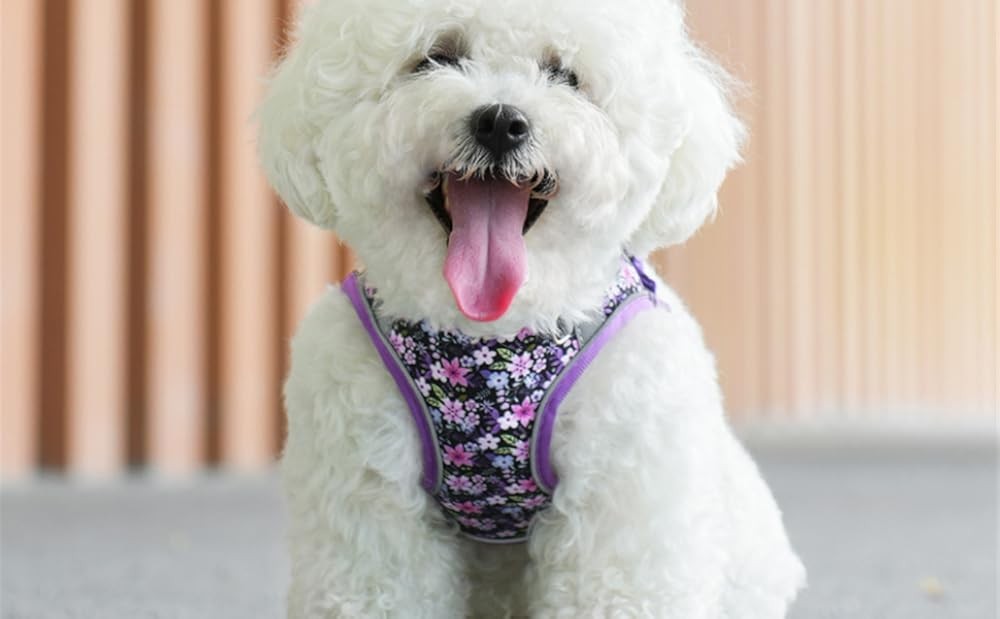 Step in Dog Harn No Pull Dinosaur Adjustable Soft Mesh Padded