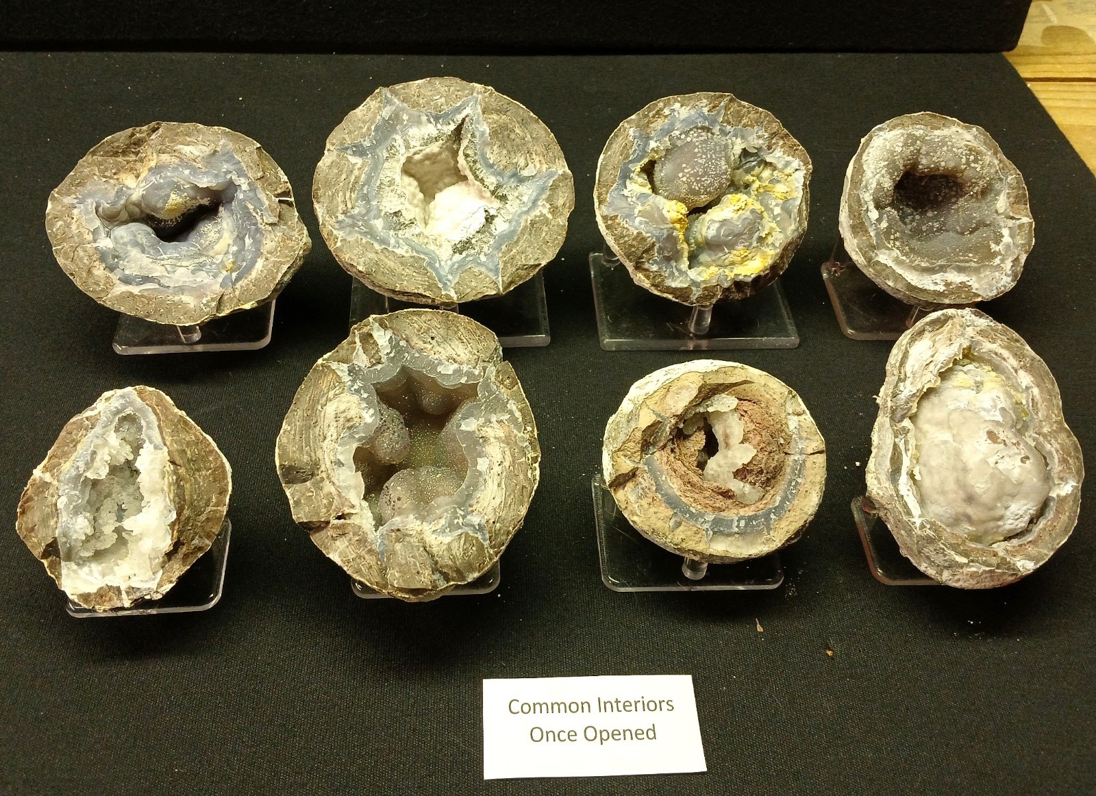 Whole Guaranteed Hollow Utah Dugway Quartz Agate Geode Thundereggs, Fluorescent!