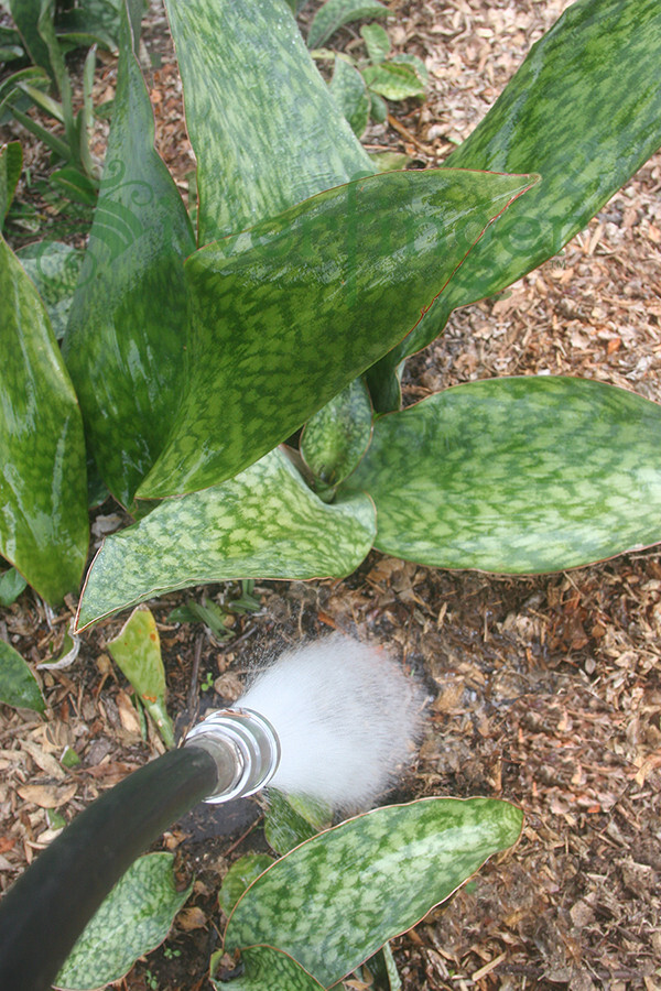 SPRAY HEAD Garden Hose Irrigation Watering Attachment Aluminum Metal Sprayer