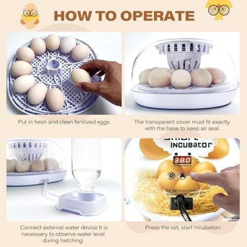 12 Egg Incubator Auto Turner Temp Humidity Control 360 View Hatcher