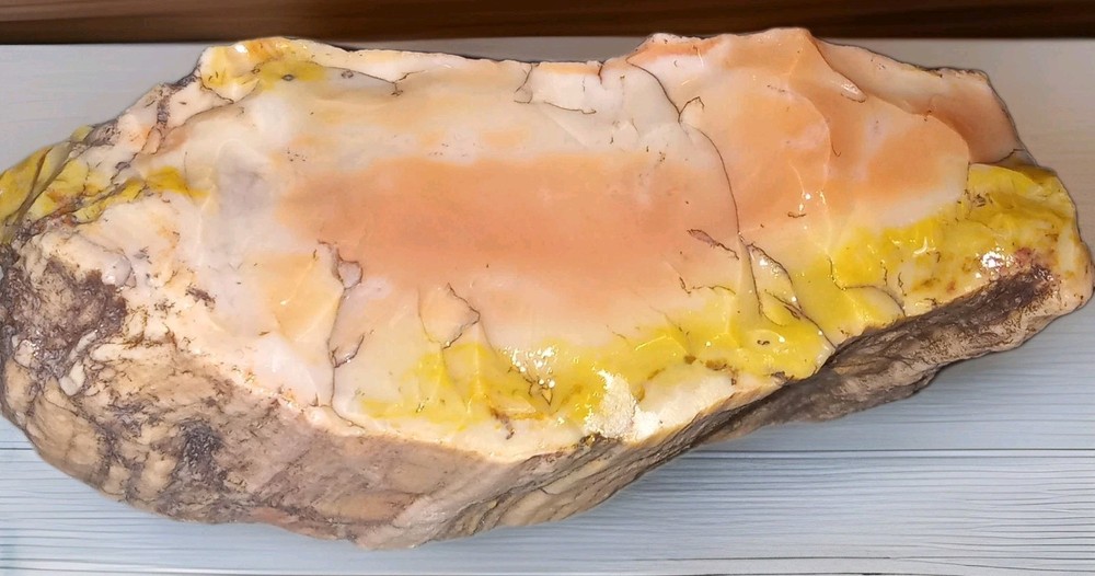 Petrified Opal Wood Rough AZ 190g