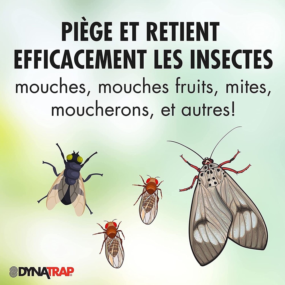 DynaTrap 23005-06 DOT StickyTech Replacement Glue Cards - Cloud