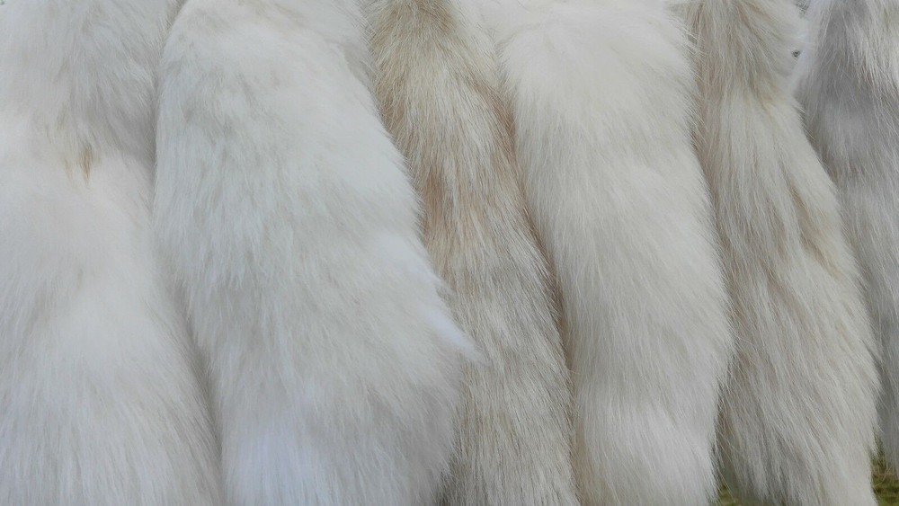 Foxtail Fox Tail Tail Fox Tail Fox Rod Arctic Fox Pendant