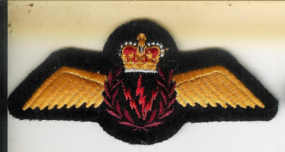 Obsolete Modern Canadian Forces Airborne Electronic Sensor Operator Wing