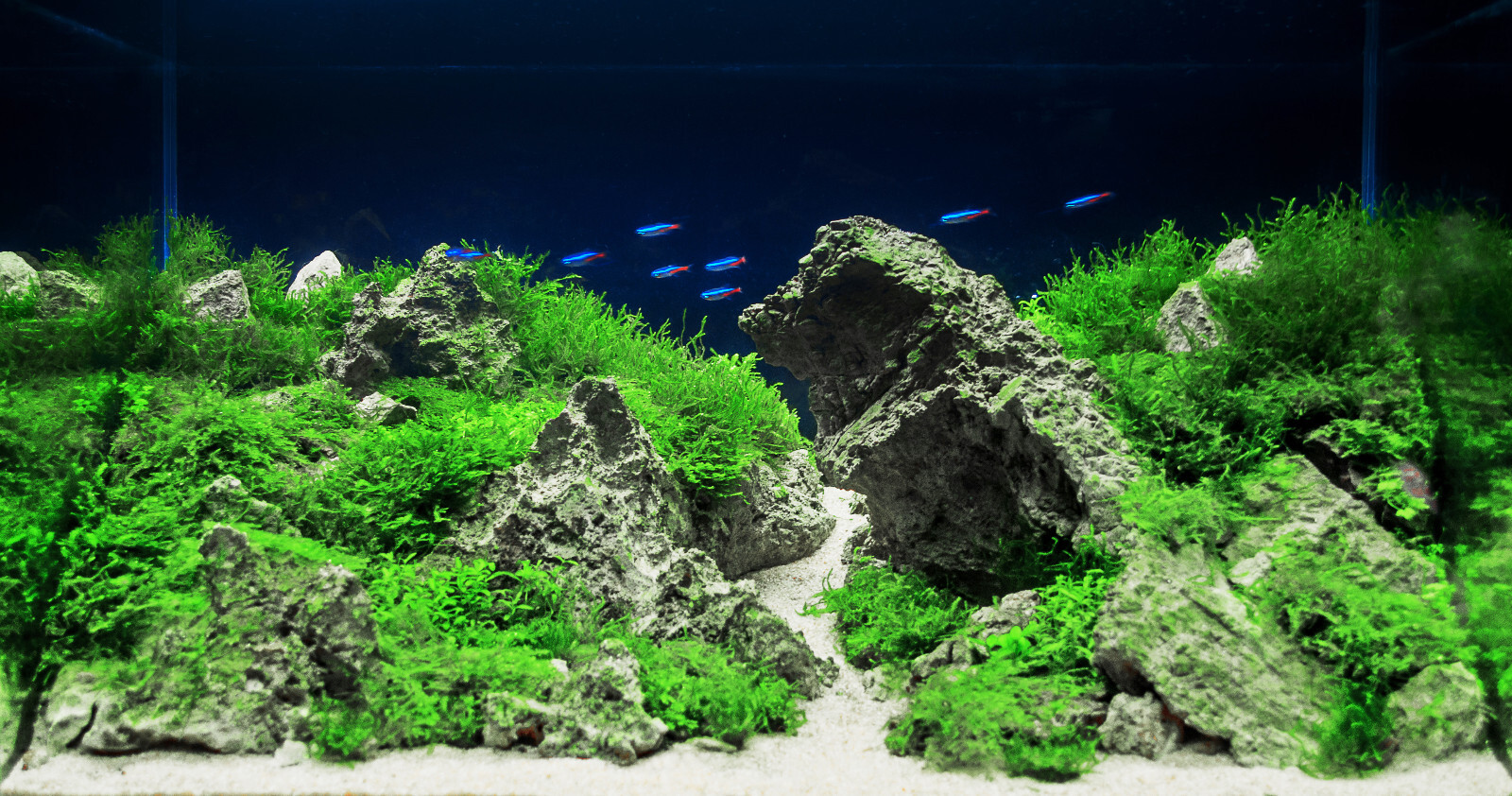 Biohome Ultimate Filter Media Aquarium Pond (FREE bacteria balls)