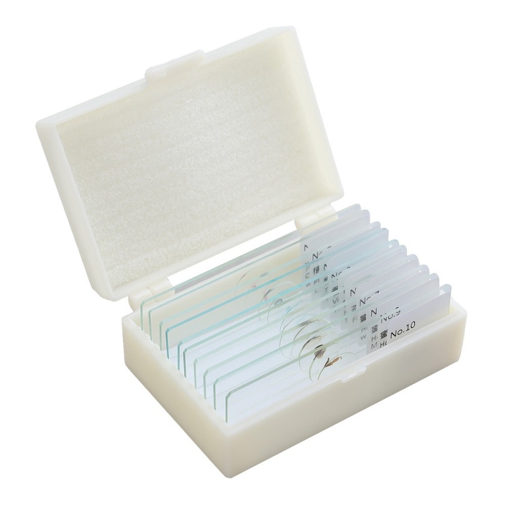 10 PCS/Set Specimen Slides for Microscope with Specimens Plants Beginner