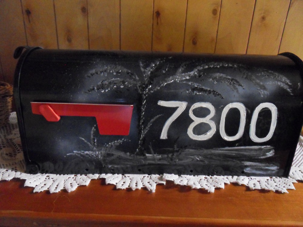 Dragon and wolf hand painted Mailbox USPS standard size