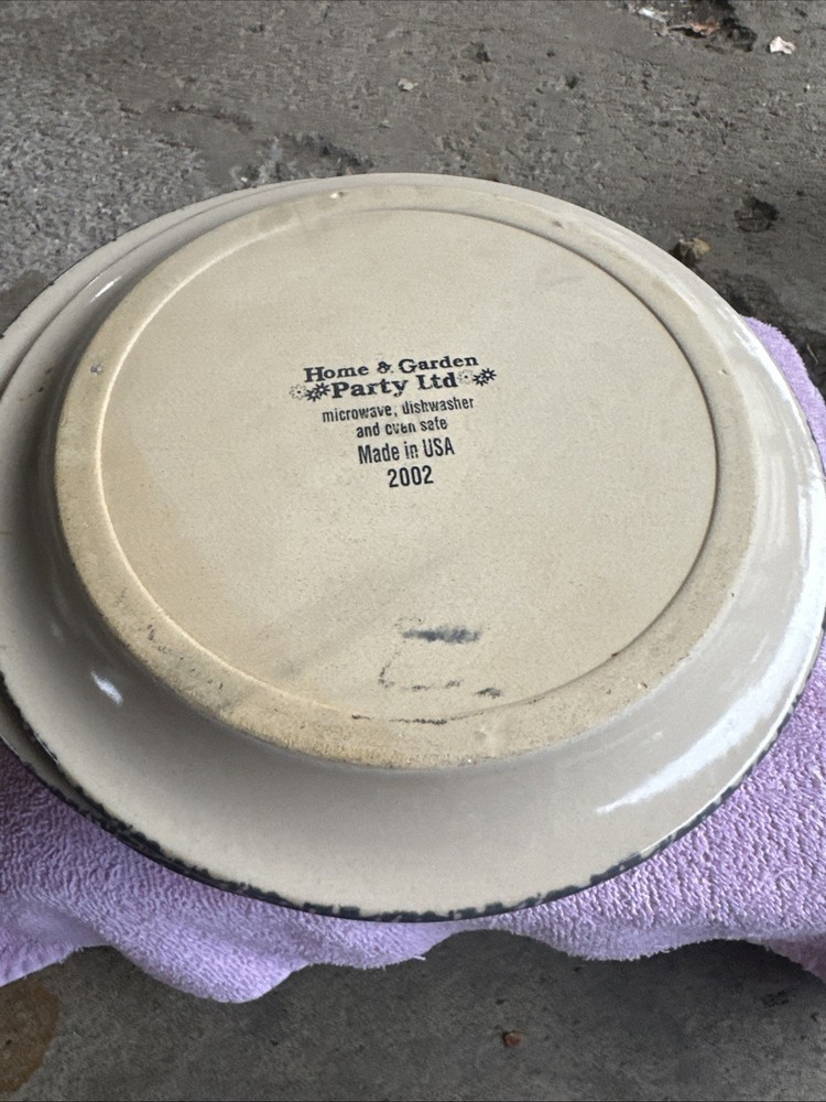 Stoneware Dinner Plates 8 Total 8.2 Lenght Plate