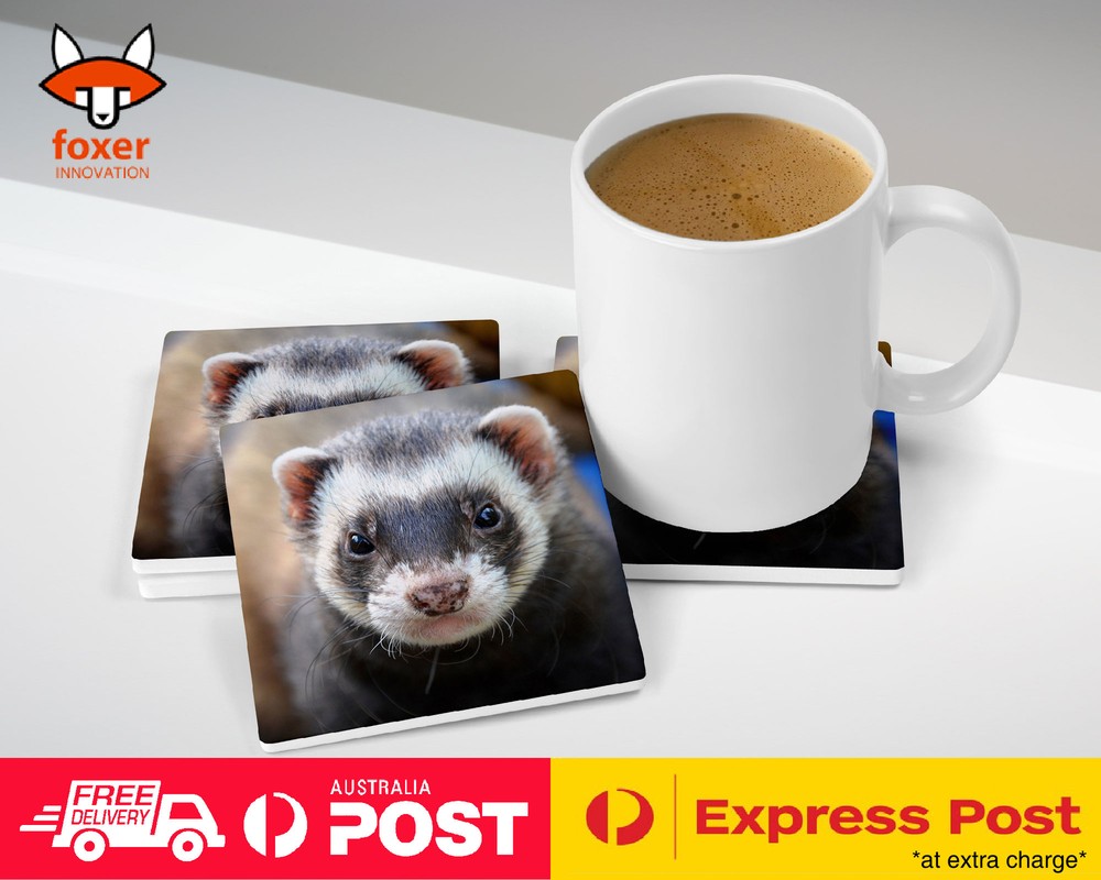 COASTER COFFEE DRINKING MAT|FERRETS PET ANIMAL 7