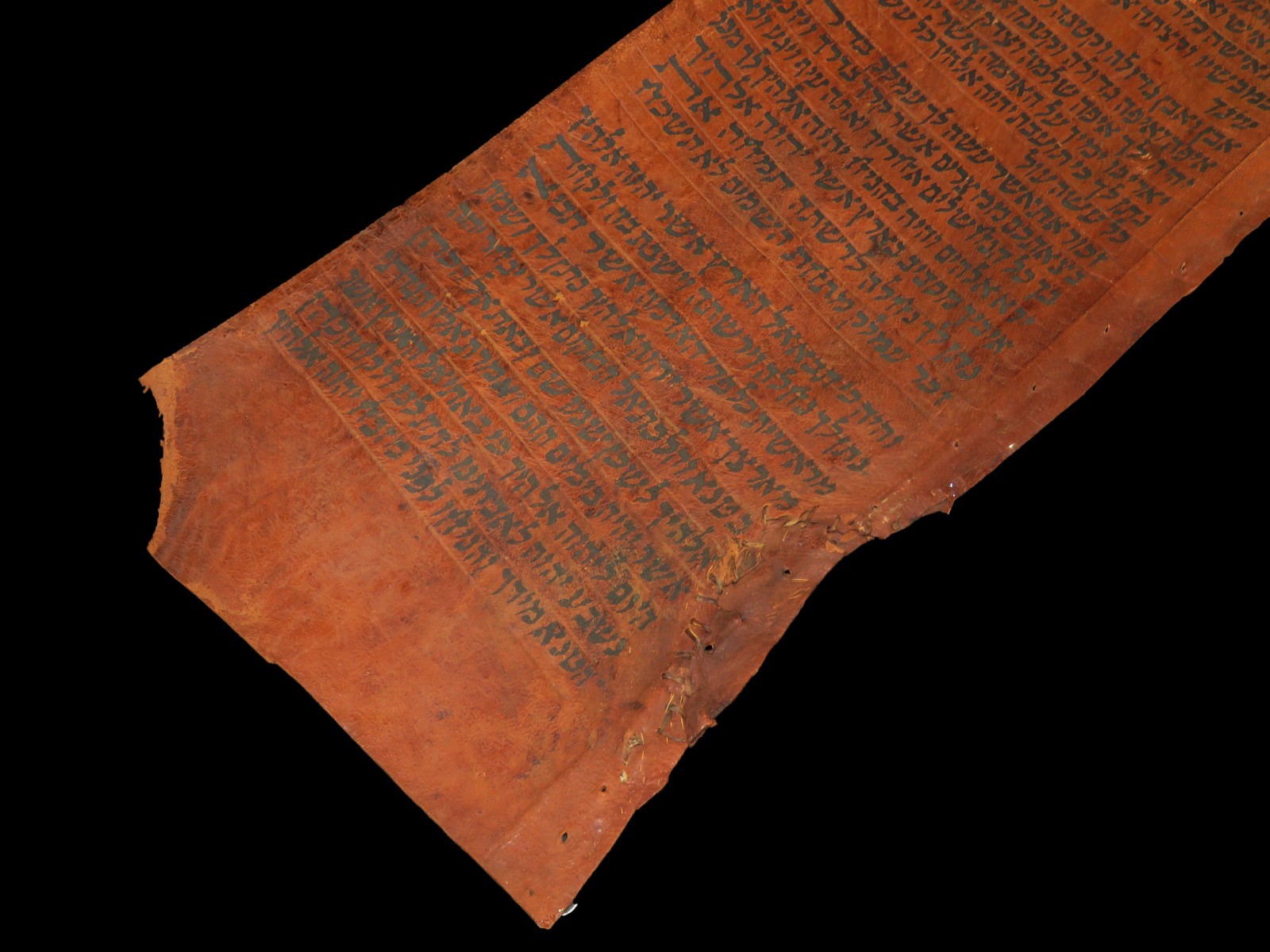 TORAH SCROLL BIBLE VELLUM MANUSCRIPT FRAGMENT 300 YRS OLD YEMEN The erase Amalek