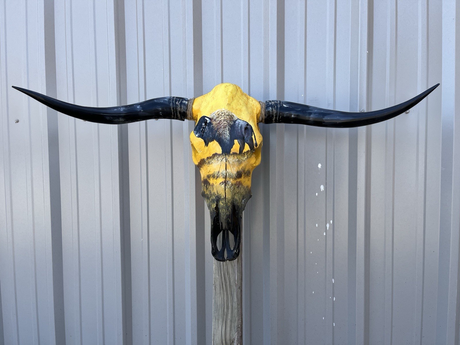STEER SKULL Painted 3 Feet 7 Inch WIDE BULL HORN MOUNTED COW Bison Bull Buffalo
