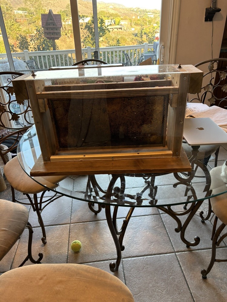 Homemade Observation Bee Hive