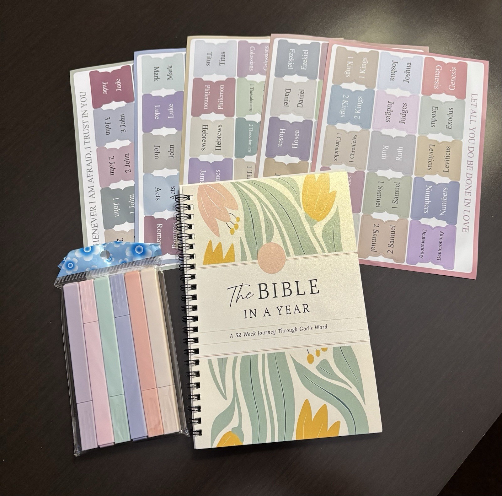 The Bible In A Year: A 52-Week Bible Study Guide W/Bible Tabs & Highlighters