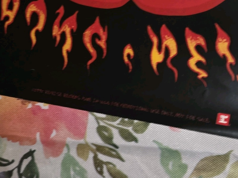 NEIL YOUNG Mirror Ball rare original Cd/record Store promo Poster 27 X 27" 1995