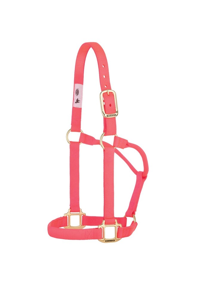 Original Non-Adjustable Halter , 1"  Pink