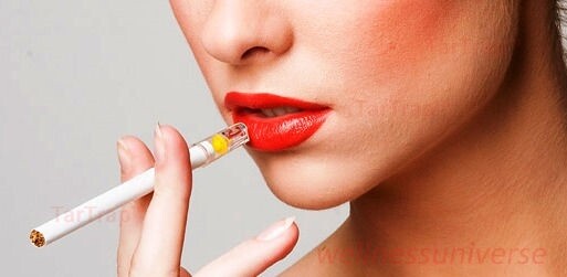 TarTrap Disposable Cigarette Filter Bulk Pack (1500 Filters)