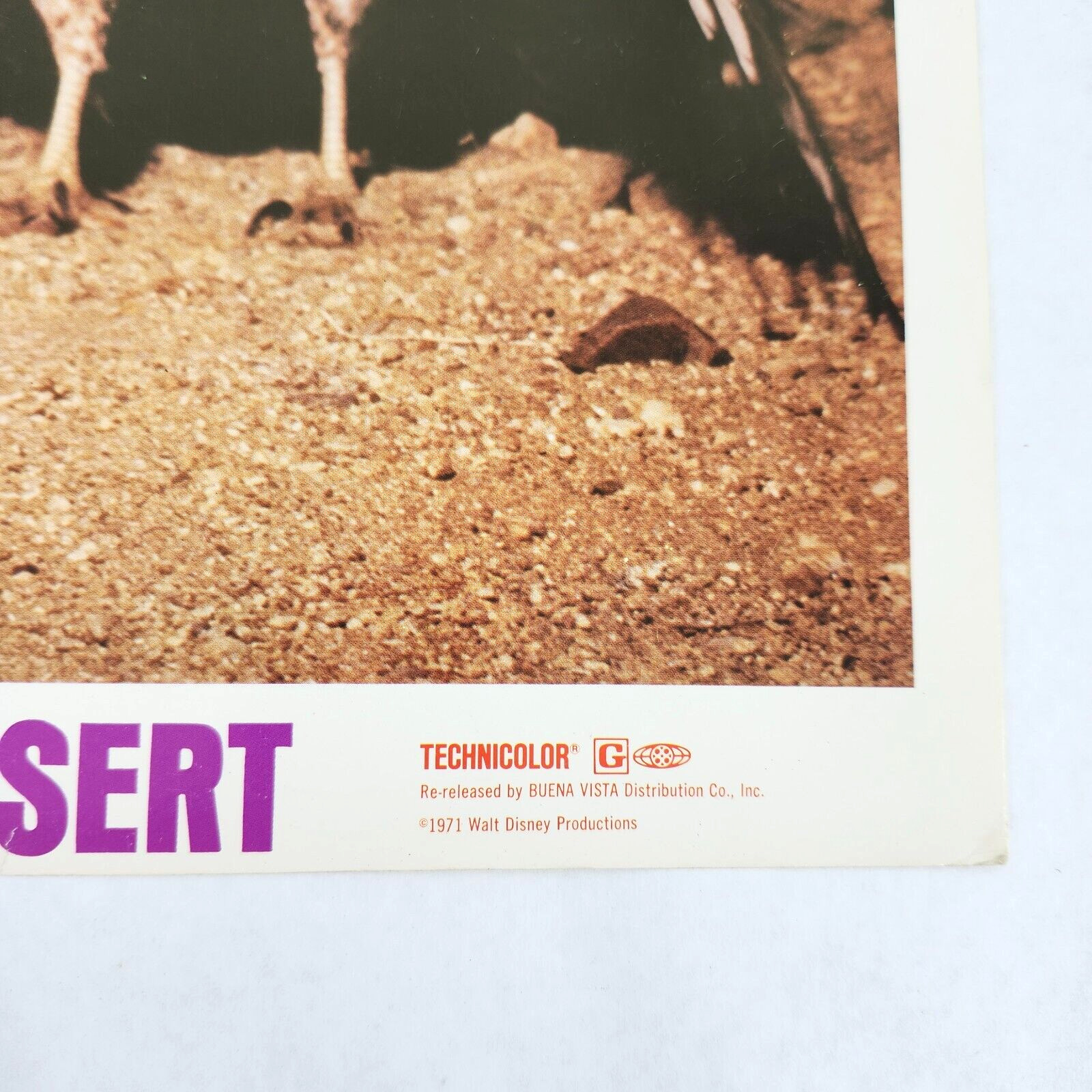 The Living Desert Walt Disney 1971 Lobby Card Movie Poster Winston Hibler 1953