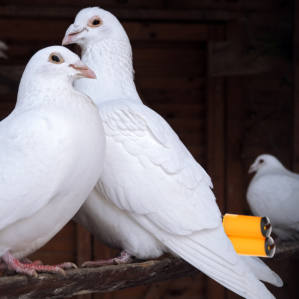 2 Pcs Pigeon Training Accessory Referee Whistle Pet Bird Flute