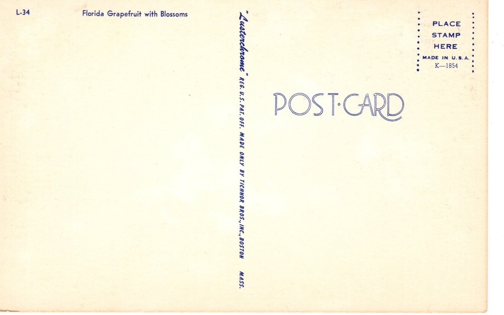 FLORIDA GRAPEFRUIT WITH BLOSSOMS - PC7053