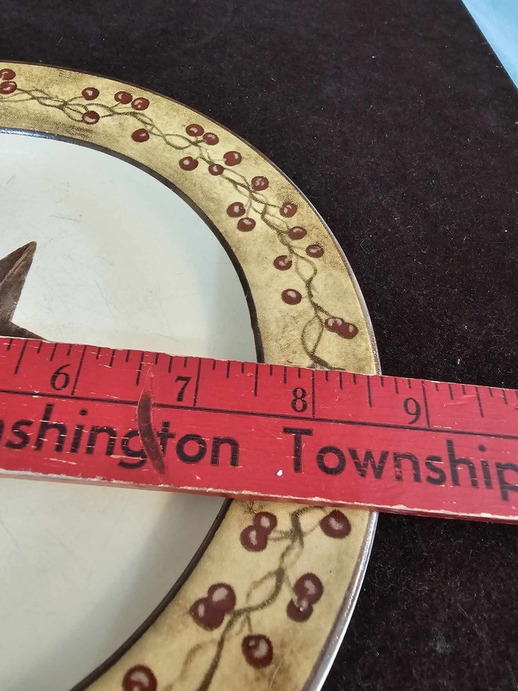 4 Barn Star Salad Plate Ltd Commodities 8 3/4"