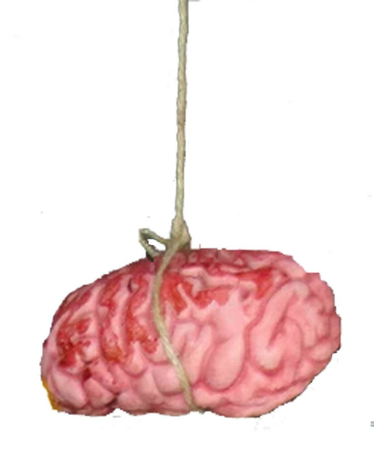 LifeSize Fake Zombie BLOODY BRAIN BUTCHER TRAY Human Organ Halloween Horror Prop