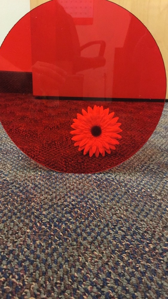 (4-Pack) Acrylic Circle Disc-1/8" thick-Red Transparent-4" Diameter
