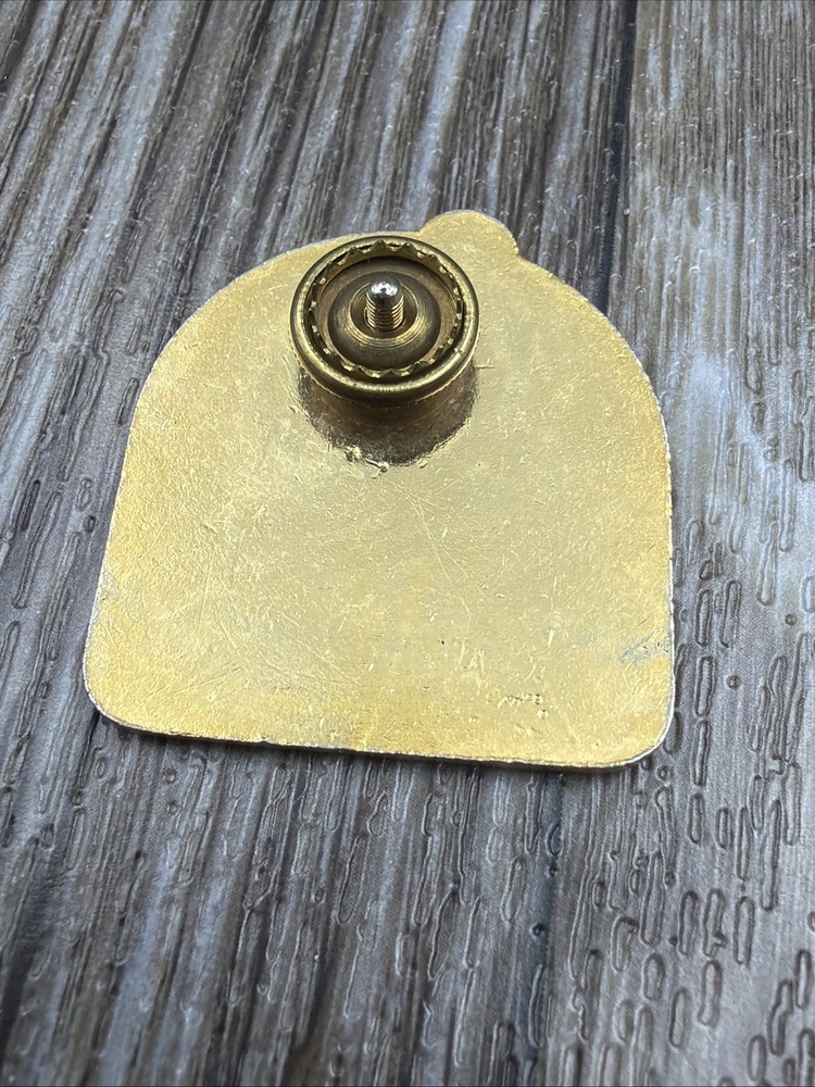 GWRRA Member Wing Ding 1981 Pin