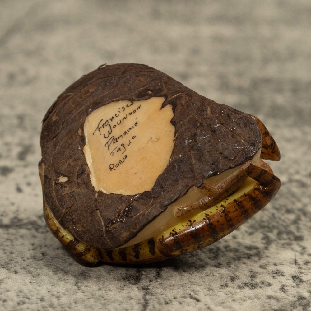 Brown Frog Tagua Carving