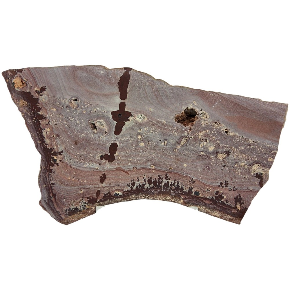 Apache Dendritic Rhyolite, Apache Sage, cabbing rough, #R-7031