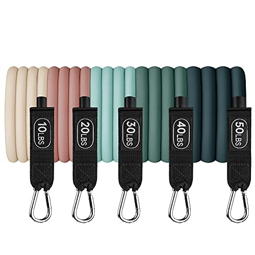 Train Resistance Bands Set for Working Out - 5 Stackable Bands, Smoothie