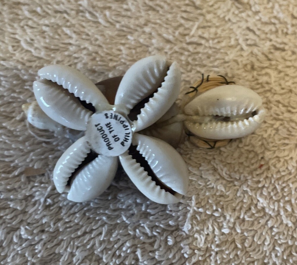 Cute Handmade Seashell Turtle with Wire Glasses Hat/Philippines