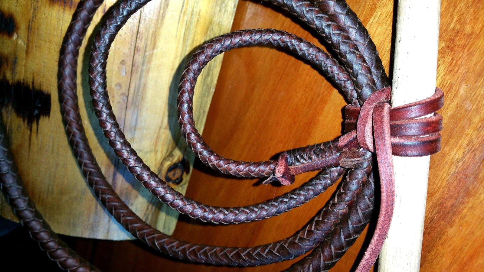 6ft 8 plait Kangaroo leather Stock whip Stockwhip