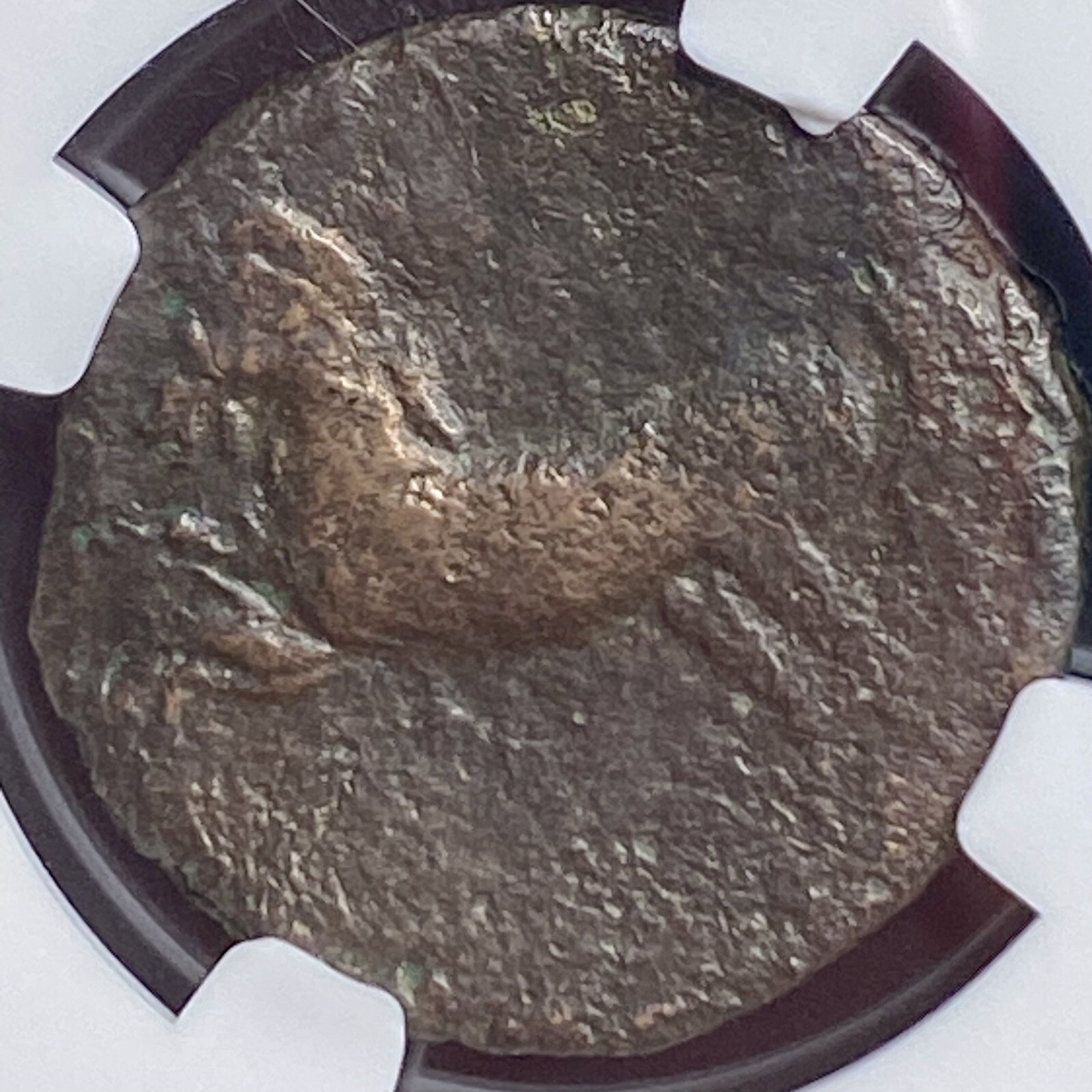 Numidian Empire Coin 208BC-118BC Punic War NGC Genuine Ancient Carthage Era