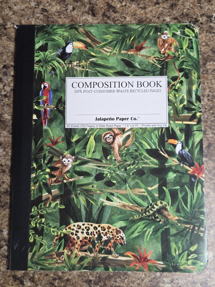 2 Pack Compositon Notebooks 80 Sheets Fun Design