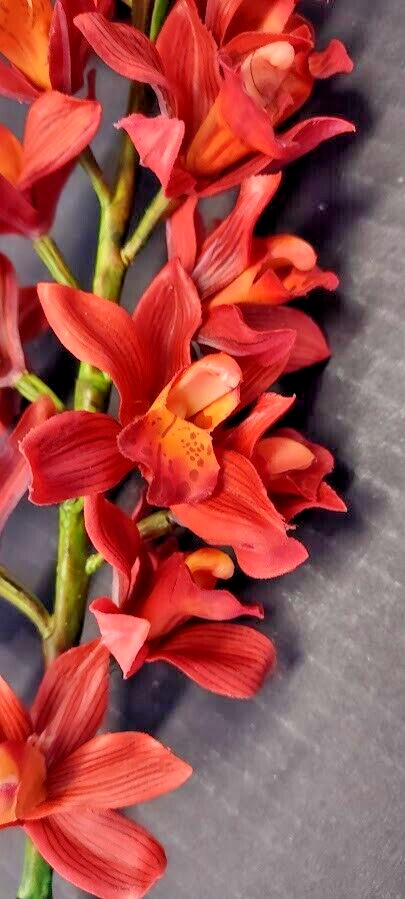 Artificial Cymbidium Orchid stem ORANGE RUST