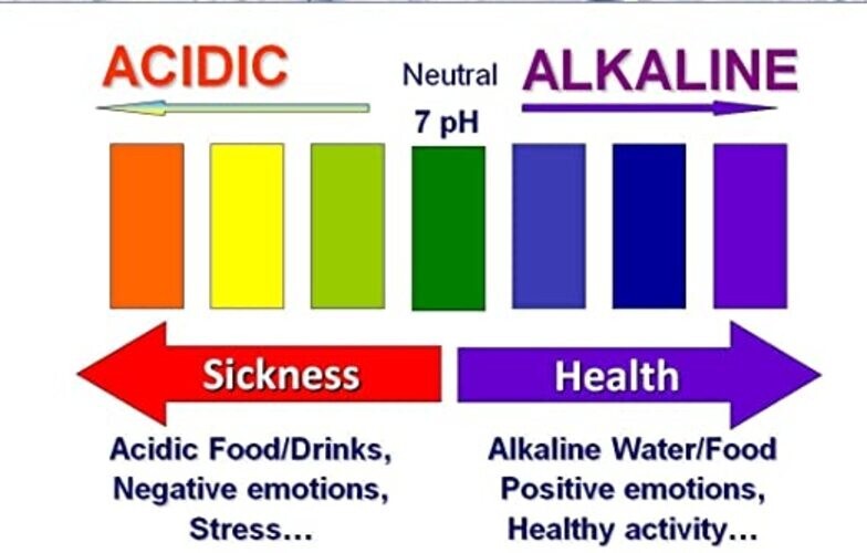 pH Drop for pH Testing and Alkaline level, pH Water Testing with pH Color Chart,