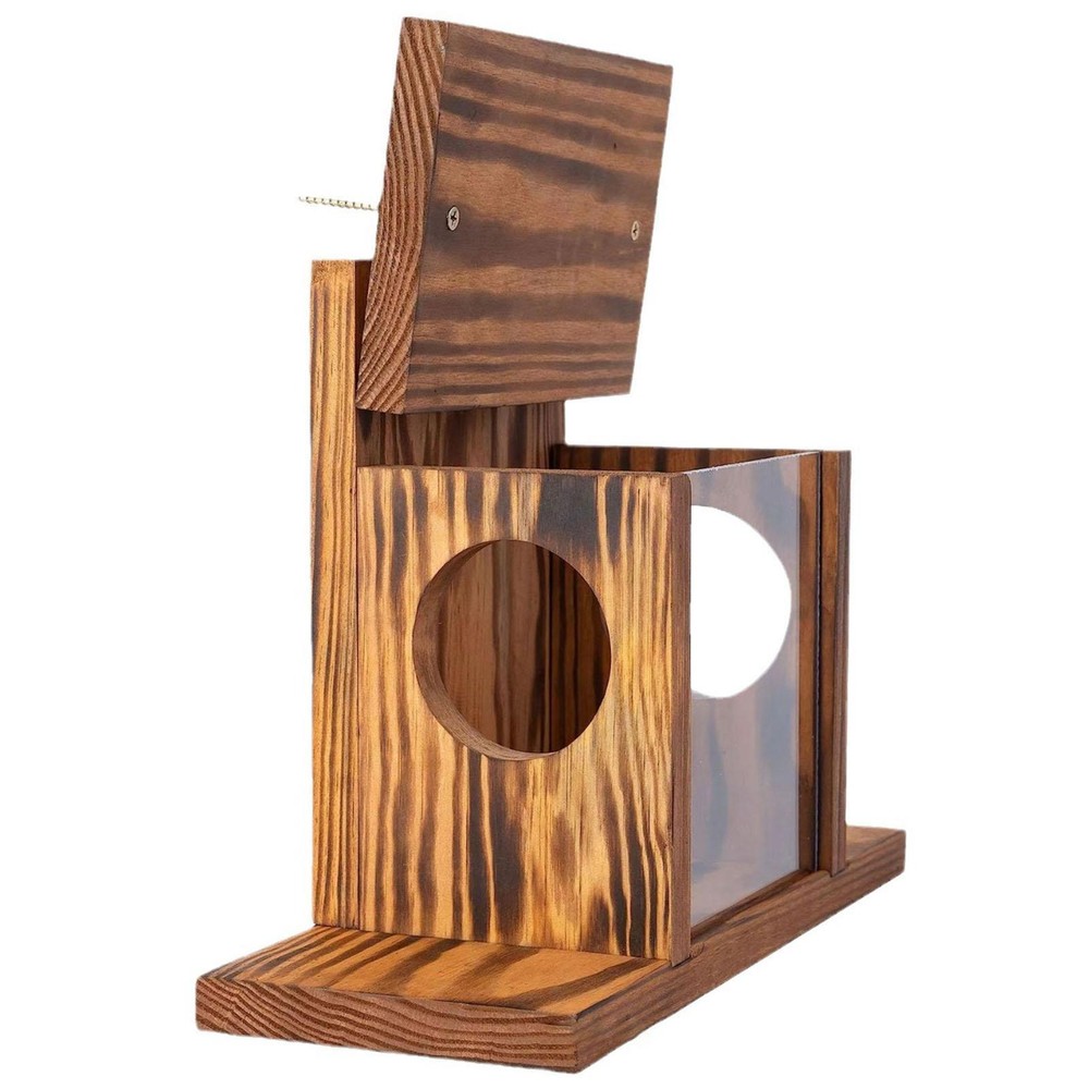 Outside Wood Squirrel Feeder Thickness Weatherproof Spacious Squirrel Feeding